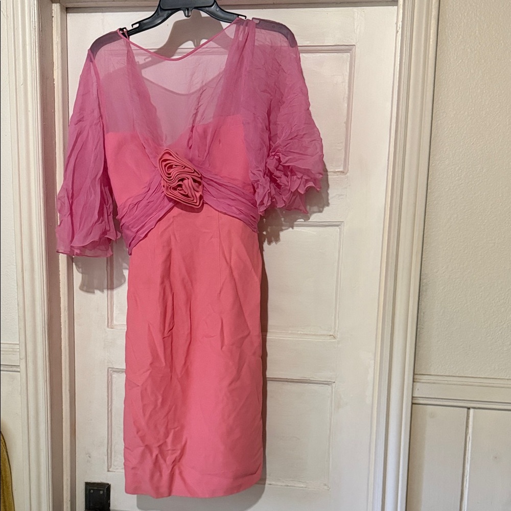 Vintage 1969 Crepe Chiffon Pink Dress with Sheer Sleeves and Floral Detail